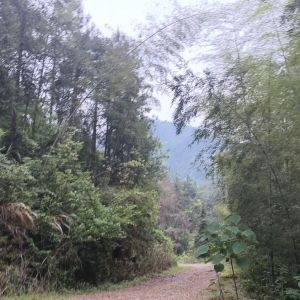 我在人间凑数的日子