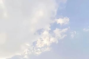 2025年6月5日
