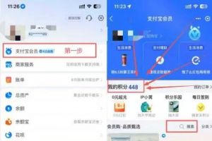 收支付宝积分 有闲置的老板来换钱啦