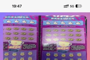 芜湖 喜提华子