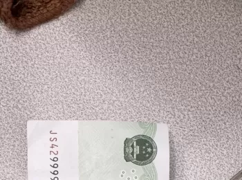 当收银员收到的，是不是赚大发了