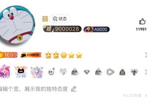 极品客服黑金7