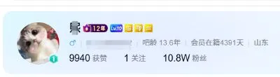 百度贴吧超级会员图标样式
