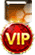 VIP会员